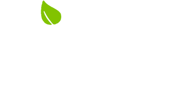 Vine Financial